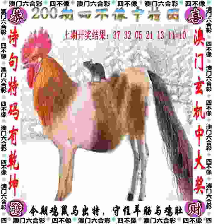 焦科维奇获职业生涯巡回赛单打第100冠